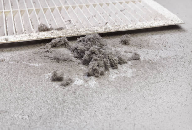 Best Air Duct Mold Removal  in Gaithersburg, MD